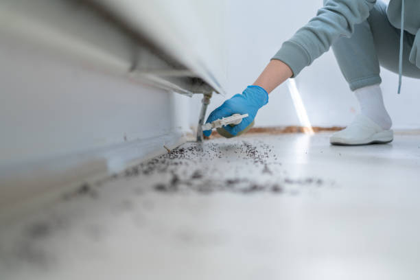 Best Exterminator Services  in Fall City, WA