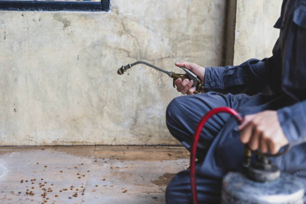 Best Pest Removal Services  in Fall City, WA